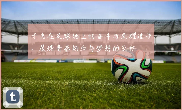 于光在足球场上的奋斗与荣耀追寻，展现青春热血与梦想的交织