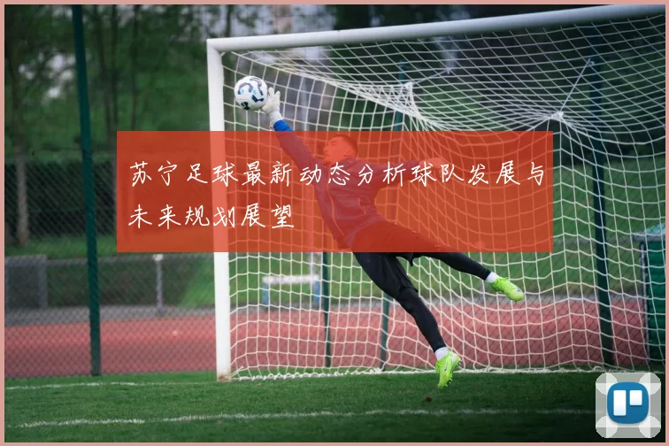 苏宁足球最新动态分析球队发展与未来规划展望