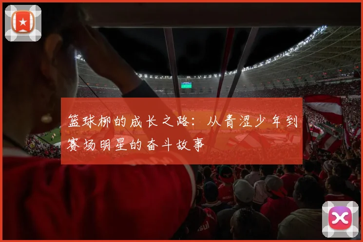 篮球柳的成长之路：从青涩少年到赛场明星的奋斗故事